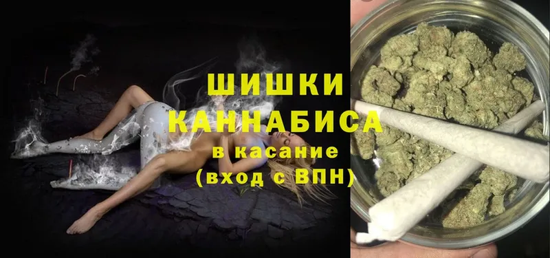 darknet какой сайт  Новороссийск  Шишки марихуана Bruce Banner 